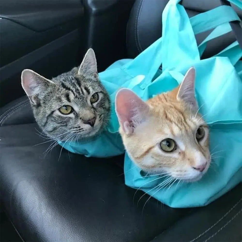 Anti Scratch Cat Carrier Travel Pouch - Foldable Oxford Cloth